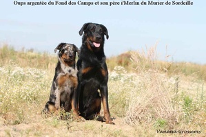 Oups-Merlin BEAUCERON 008  1024x768 